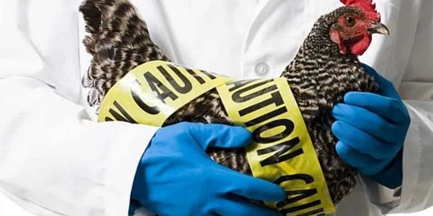 Dünya şaşkın, yayılacak:100 hızla gidip insanlara sıçrayacak! Risk olduğunu kimse bilmiyordu!