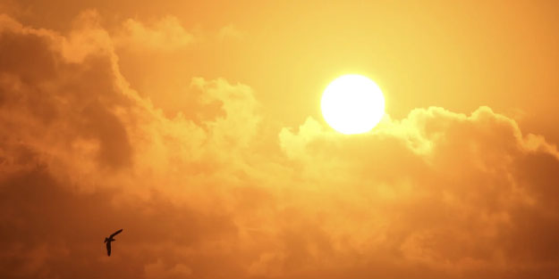 Dünya tarihinin en sıcak günü kayıtlara geçti