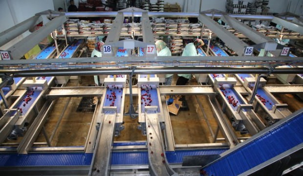 Dünya Türkiye'den satın almak için sıraya girdi