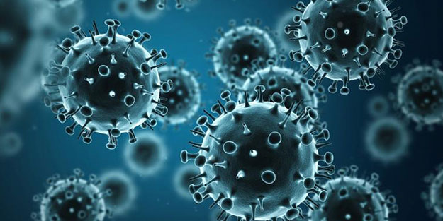 Dünya ülkeleri alarmda! İşte devlete genelge yayımlatan İnfluenza virüsü