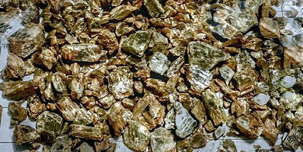 Dünyaca ünlü isimler onun peşinde! Muğla'da bulundu