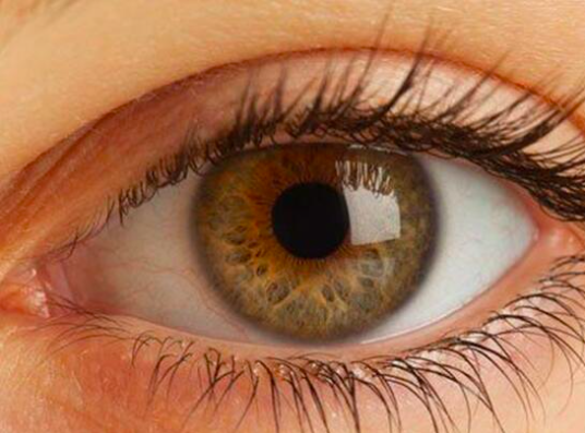 Dünyada 1 milyardan fazla insan görme kaybı yaşıyor! Peki göz sağlımızı nasıl koruruz?