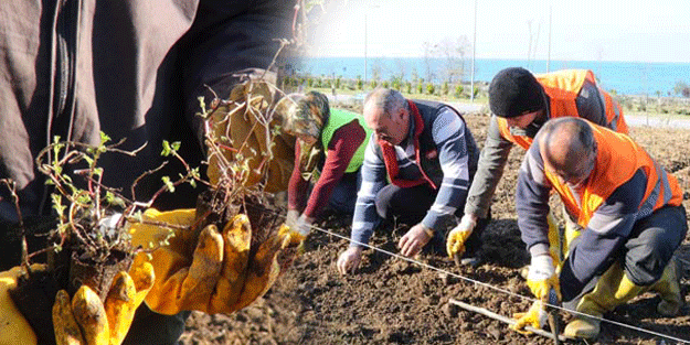 Dünyada bir çok alanda kullanılıyor, artık o ilde…