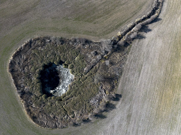 Dünyada bir eşi daha yok! Yok olmak üzere