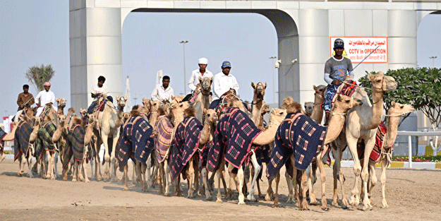 Develer üzerinde hentbol oynandı