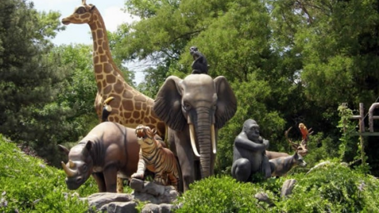 Dünyada bu hayvandan sadece 2 tane kaldı: Silahla korunuyorlar!