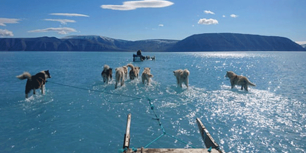 Dünyada Grönland alarmı