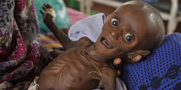 Ürküten tablo, her gün tam 7 bin...