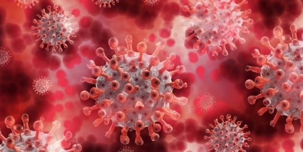 Dünyada hızla yayılıyor! Yeni virüs bir ülkede daha görüldü