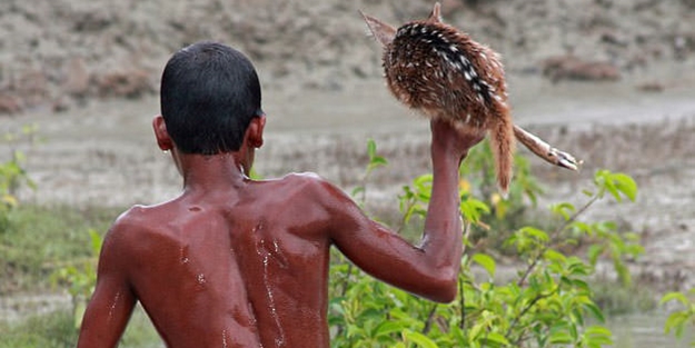 İyiliğin varolduğunu kanıtlayan fotoğraflar