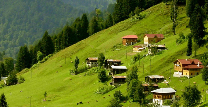 Dünyada kaç tür bitki var?