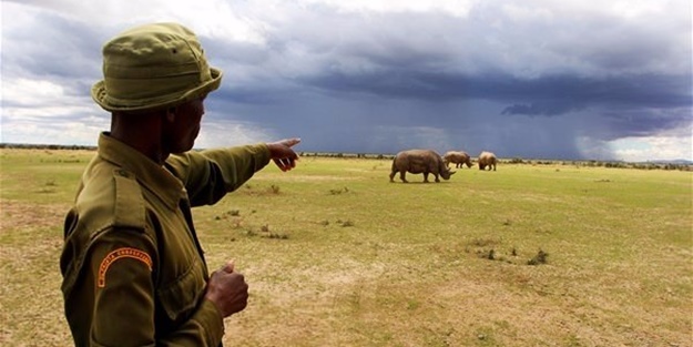 Dünyada sadece 3 tane kaldı!