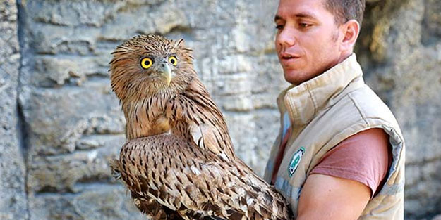 Dünyada sadece 50 tane var! Tarsus'ta bulundu