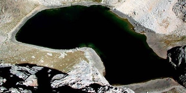 Dünyada sadece Niğde'de yaşıyor