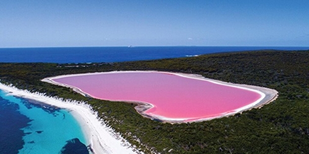 Dünyada sadece sekiz tane var: Biri Türkiye'de