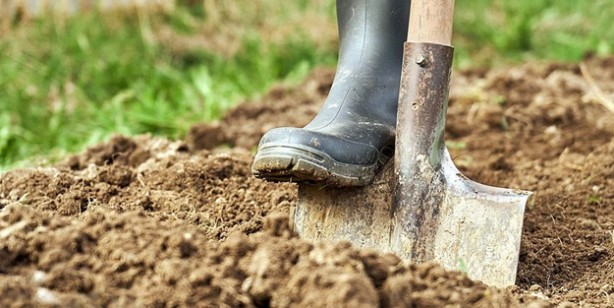 Dünyada tam 1000 yıldan bu yana kayıptı! Hollanda ülkesi arkeologları toprak içinde buldu, gözlerine inanamadı!