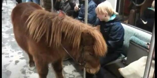 Dünyadaki metrolardan tuhaf görüntüler