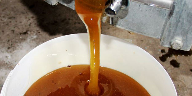 Dünyadaki üretimin yüzde 90'ını Türkiye karşılıyor! Ülkeler satın almak için sıraya girdi