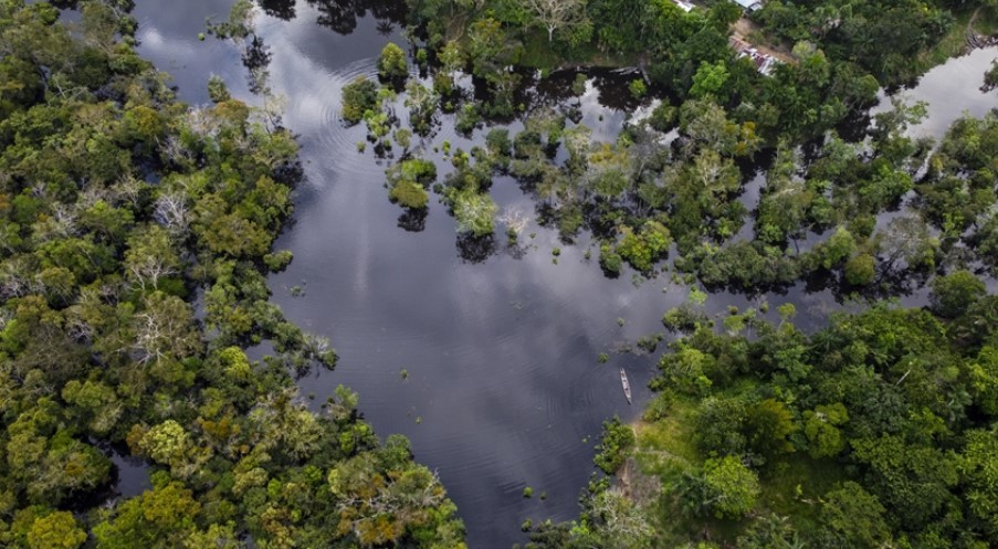 Dünyadan tamamen soyutlanmışlar: İlkel kabile görüntülendi