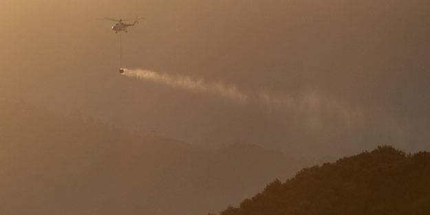Dünyanın ciğerleri yanıyor! 40’tan fazla ülkede ormanlar alevler içinde