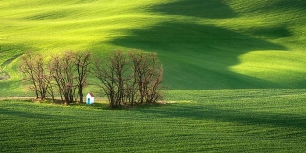 Dünyanın dört bir yanından muhteşem görüntüler