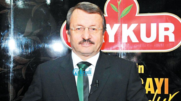 Dünyanın en büyük organik çay havzası