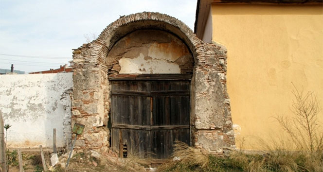 Dünyanın en eski botanik bahçesi sahipsiz kaldı