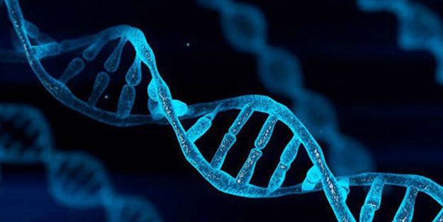 Dünyanın en eski DNA örneği bulundu! Yaşını duyan şaşırıyor