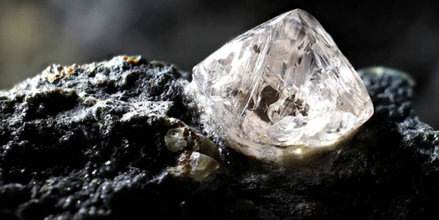 Dünyanın en eski elması bulundu