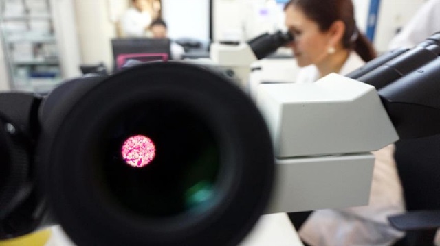 Dünyanın en eski yaşam izleri bulundu