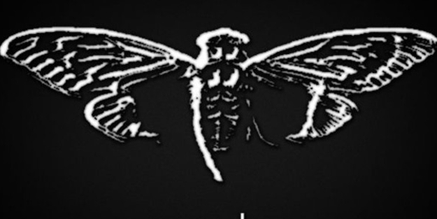 Dünyanın en gizemli internet örgütü: Cicada 3301