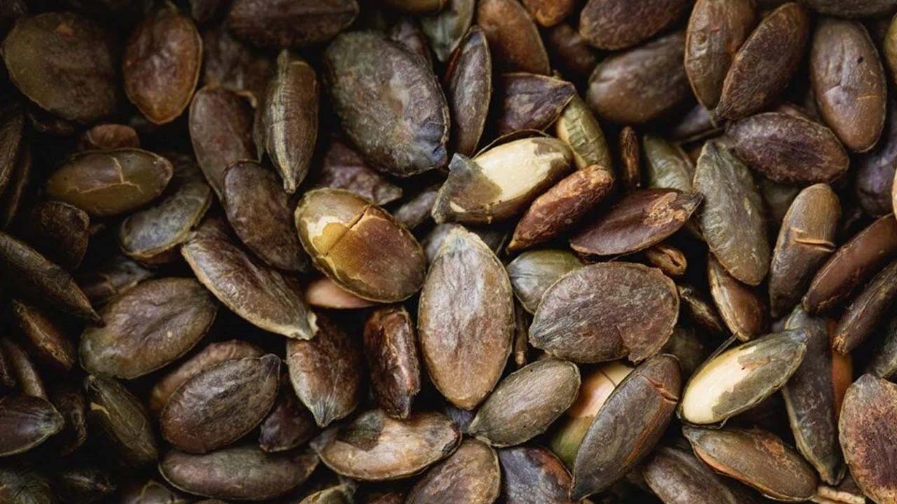 Dünyanın en güçlü magnezyum kaynağı oymuş! Karın doyuruyor