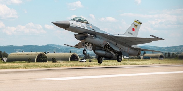 Dünyanın en iyi şahinleri burada yetişiyor