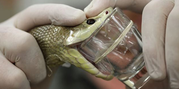 Dünyanın en korkunç 11 mesleği! Kimisini hiç duymamış olabilirsiniz...