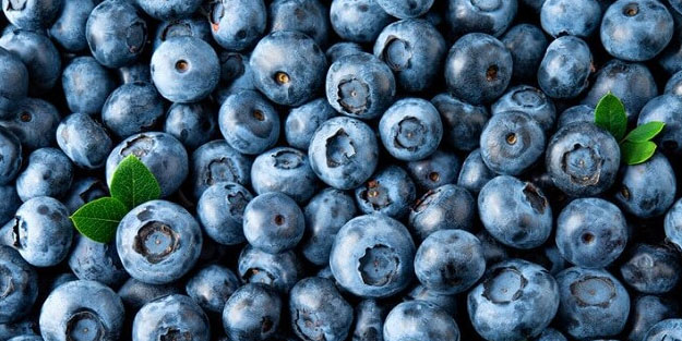 Dünyanın en sağlıklı 11 gıdası