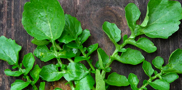 Dünyanın en sağlıklı yiyeceği ortaya çıktı!