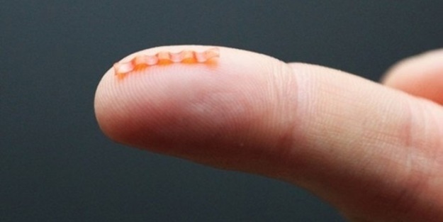 Dünyanın en tehlikeli tırtılı üretildi!