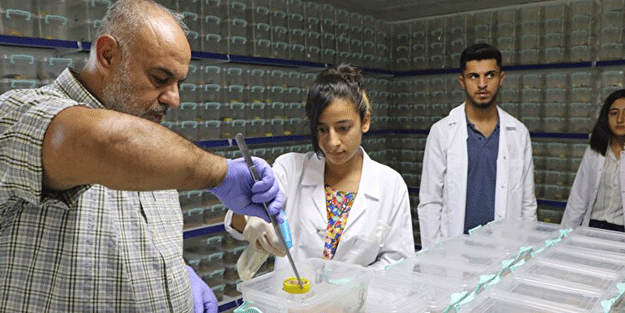 Dünyanın en tehlikeli ve en pahalı işi! Litresi tam tamına 10 milyon dolar