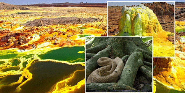Dünyanın en tehlikeli yerleri! Dokunduğunuz anda öldürüyor