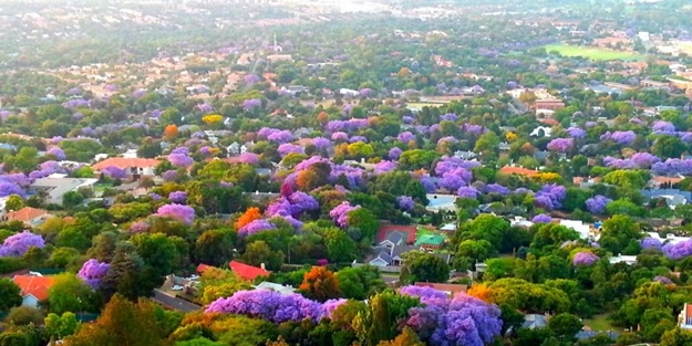 Dünya'nın en yeşil 10 şehri