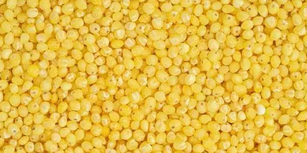 Dünyanın en zengin magnezyum kaynağı oymuş! Fosfor, manganez, demir ne varsa onda!