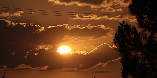Dünyanın gözü Türkiye'deki bu tarlada! Güneş doğana kadar nöbet tutuluyor, resmen hazine var