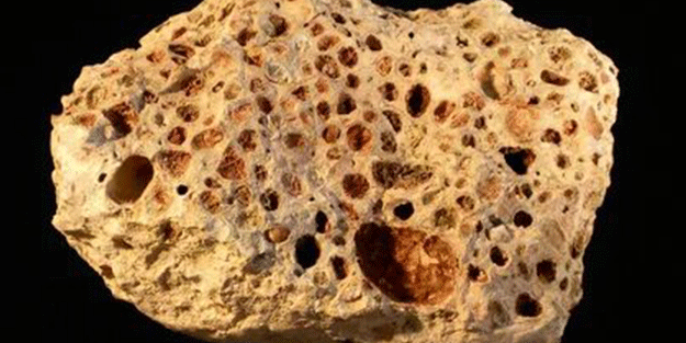 Dünyanın gözünü çevirdiği elektrikli araçlar Gineli köylülerin hayatını altüst etti