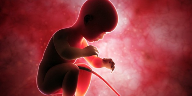 Dünyanın ilk suni embriyosu üretildi!