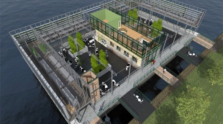 Dünyanın ilk yüzen çiftliği orada kuruluyor