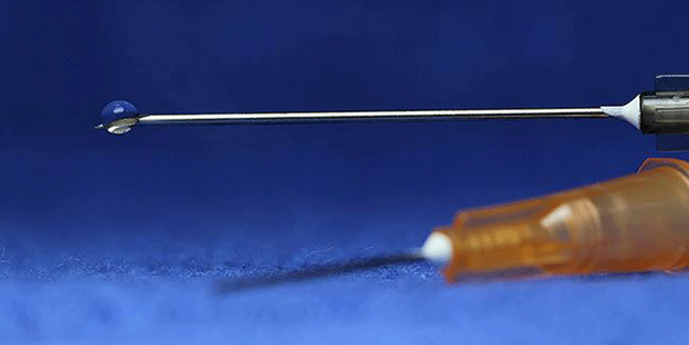 Dünya merakla bekliyordu! Adım adım görüntülendi