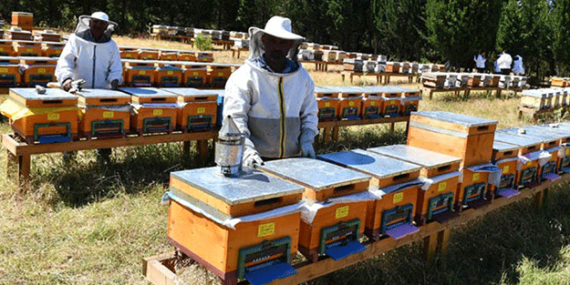 Dünyanın sonu gelebilir! Türk yetkililer el atmalı
