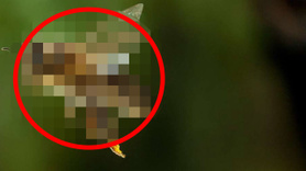 Dünyanın sonu, onlar gelirse gelecekti! Ve resmen oldu! Artık kaçış yok