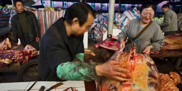 Dünyaya duyurdular! Koronavirüsünün nedeni belli oldu