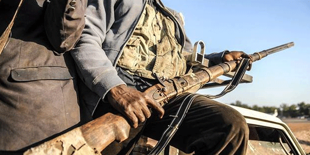 Dünyaya örnek olacak uygulama! Devlete isyan edenler öldürüldü